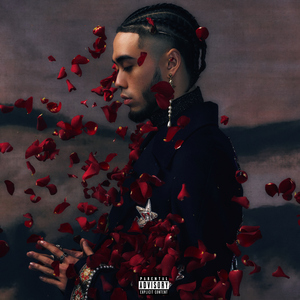 国产成人av大片
