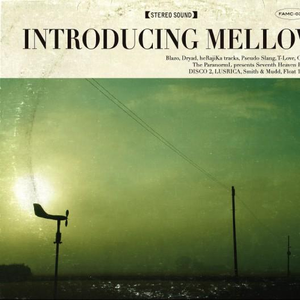 国产成人av大片
