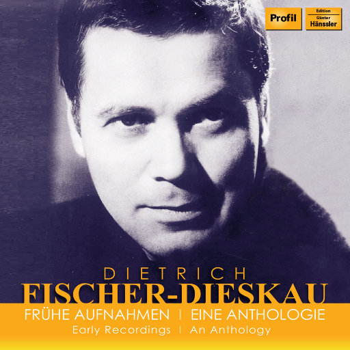 国产成人av大片
