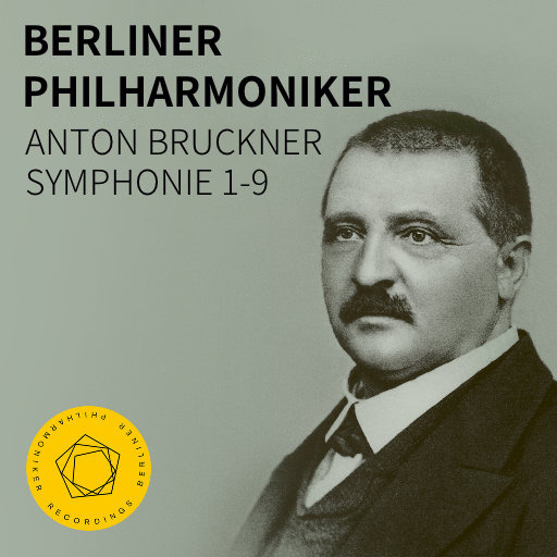 国产成人av大片
